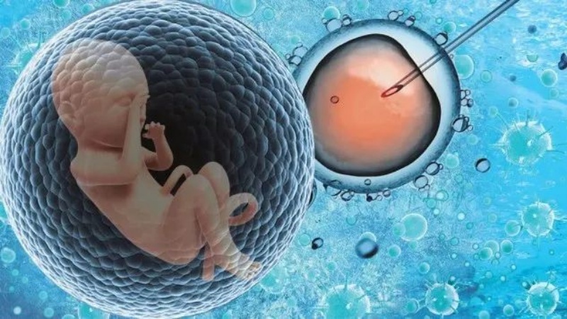 From Despair to New Life: A Couple’s Five-Year Journey to Parenthood